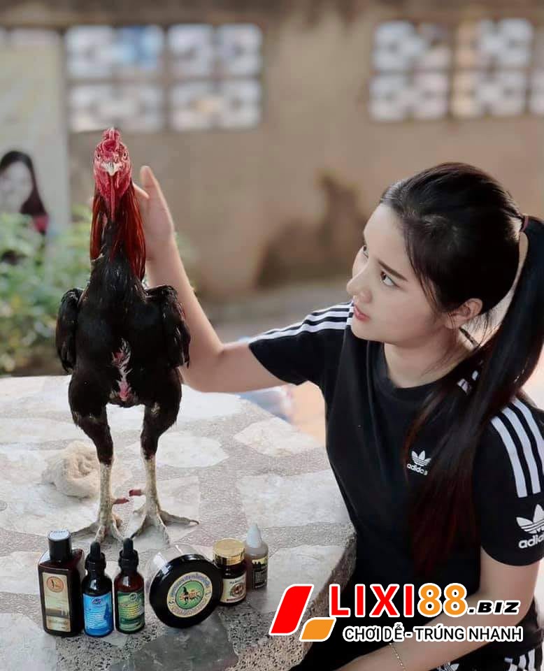 Đá gà trực tiếp uy tín nhất hiện nay 2 Đá gà trực tiếp 88
