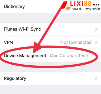 Tải Lixi88 iOS - Hướng dẫn cách tải ứng dụng game bài nhanh chóng 9 vao-device-management-cai-dat-tin-cay